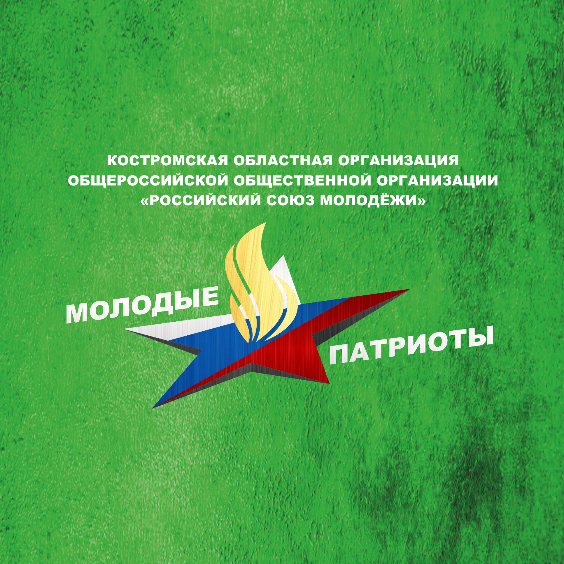 Региональная программа "Молодые патриоты"