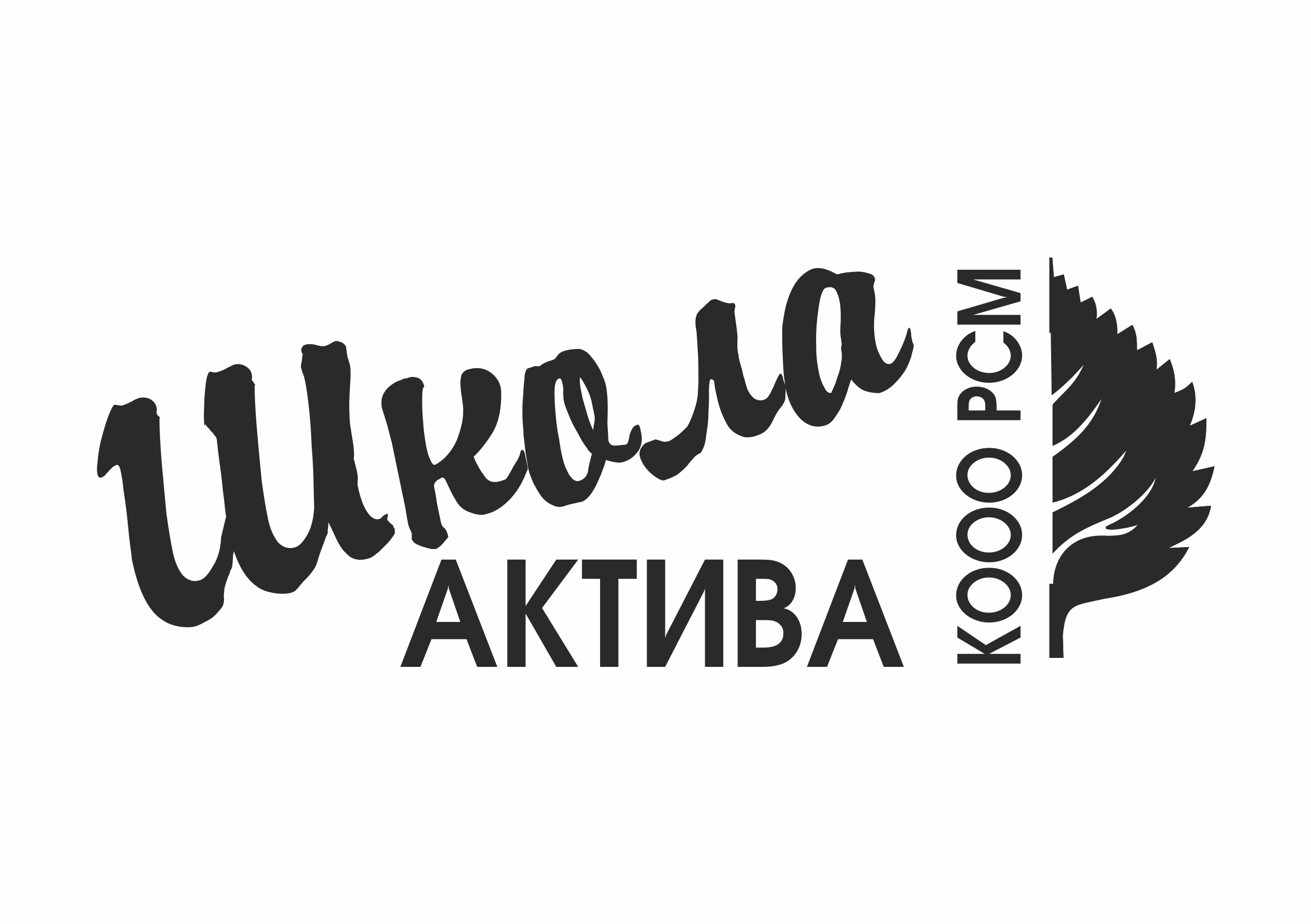 Региональная программа "Школа актива КООО РСМ"